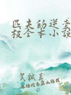 匹夫的逆袭骁骑校全本小说阅读