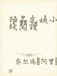 极品岚姨小说在线阅读