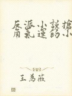 反派小说抢夺主角气运的小说