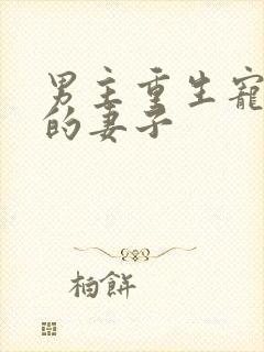 男主重生宠前世的妻子