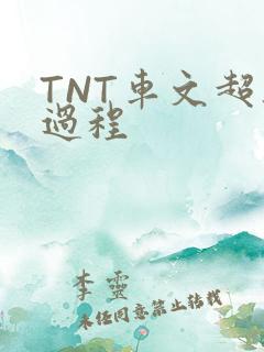 TNT车文超细过程
