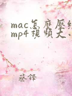 mac怎么压缩mp4视频大小