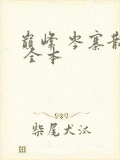 巅峰 岑寨散人 全本