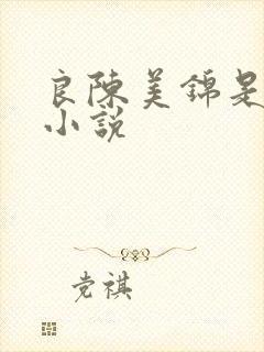 良陈美锦是什么小说