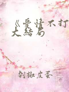 《爱情不打烊》大结局