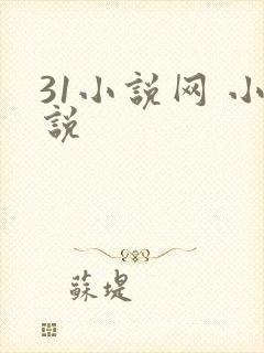 31小说网 小说