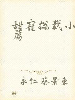 甜宠总裁小说推荐