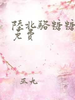 陆北骆糖糖小说免费