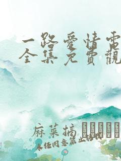 一路爱情电视剧全集免费观看高清