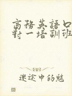 商务英语口语一对一培训班