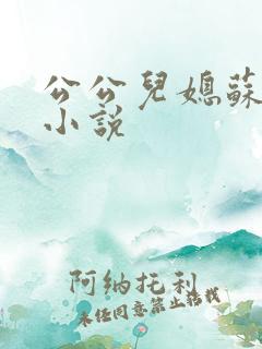 公公儿媳苏晴的小说