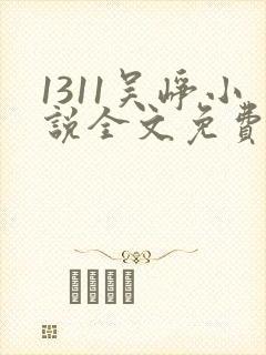 1311吴峥小说全文免费阅读