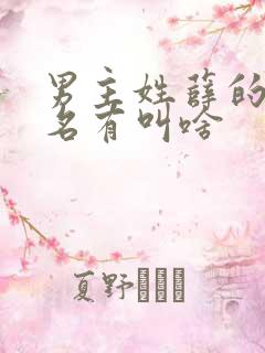 男主姓薛的小说名有叫啥