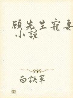 顾先生宠妻有度 小说