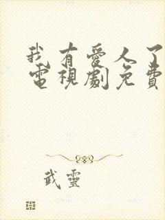 我有爱人了韩剧电视剧免费观看全集