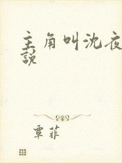 主角叫沈夜的小说