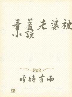 看着老婆被人干小说