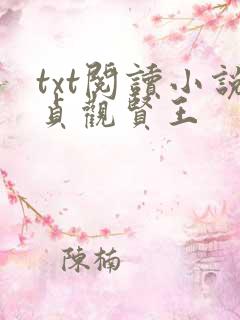 txt阅读小说贞观贤王