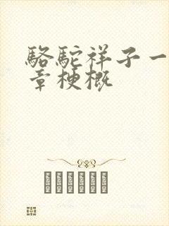 骆驼祥子一到十章梗概