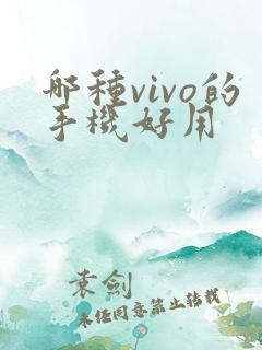哪种vivo的手机好用