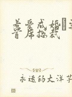 惹爱成婚·染指首席总裁