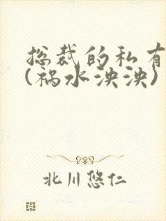 总裁的私有宝贝(祸水泱泱)