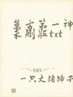万古第一神小说未删版txt