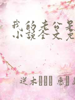 我的老公是大佬小说全文免费阅读