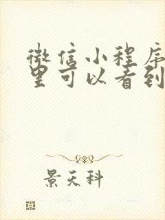 微信小程序在哪里可以看到