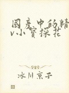 国产中的精品av小宝探花