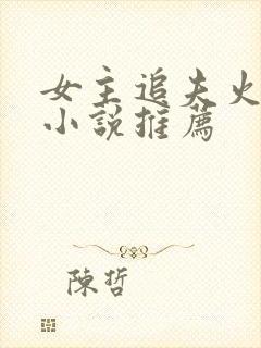 女主追夫火葬场小说推荐