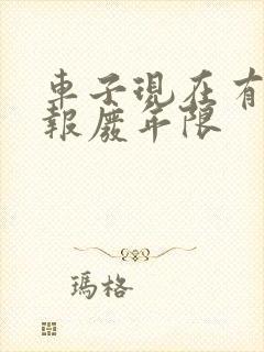 车子现在有没有报废年限