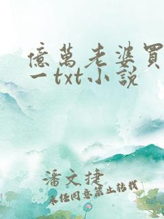 亿万老婆买一送一txt小说