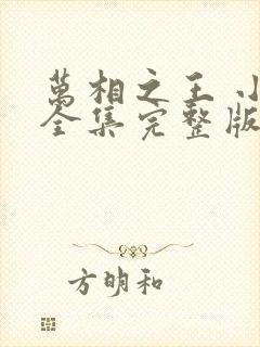 万相之王 小说全集完整版