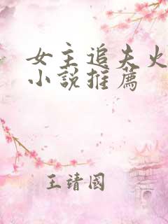 女主追夫火葬场小说推荐