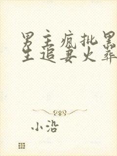 男主疯批黑化重生追妻火葬场