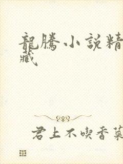 龙腾小说精品珍藏