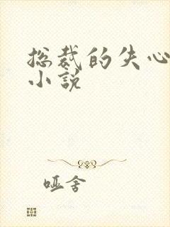 总裁的失心新娘小说