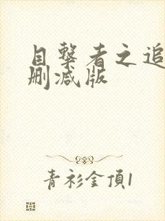 目击者之追凶未删减版