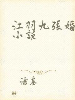 江羽九张婚书的小说