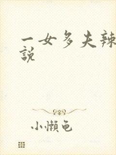 一女多夫辣文小说