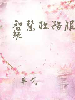 智慧政务服务系统