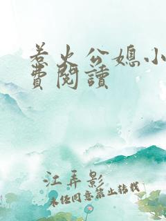 惹火公媳小说免费阅读