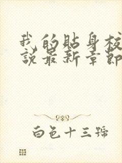 我的贴身校花小说最新章节在线