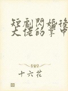 短剧闪婚后成了大佬的掌中之物