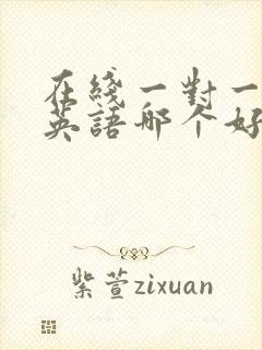 在线一对一外教英语哪个好