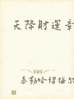 天降财运章节