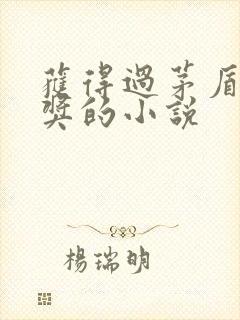 获得过茅盾文学奖的小说