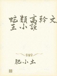 蛇类高干文双男主小说