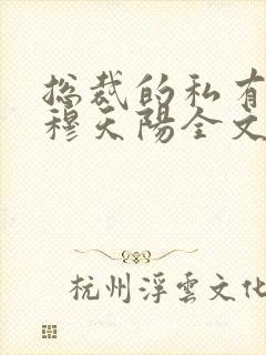 总裁的私有宝贝穆天阳全文阅读